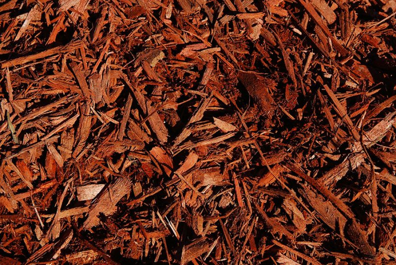 Western Red Cedar Mulch Natural Crushed Rock, Interior/Exterior